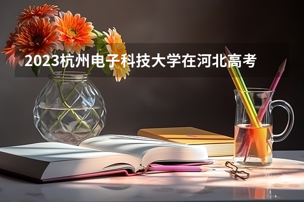 2023杭州电子科技大学在河北高考专业招生计划人数