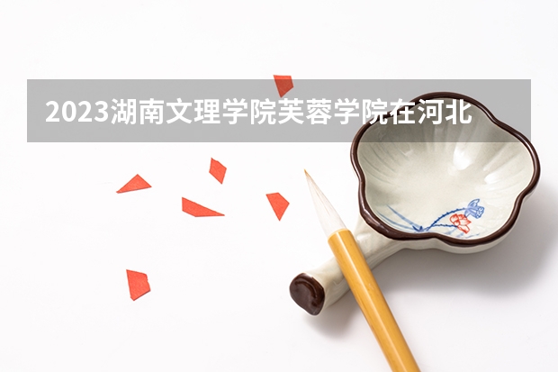 2023湖南文理学院芙蓉学院在河北高考专业招生计划人数