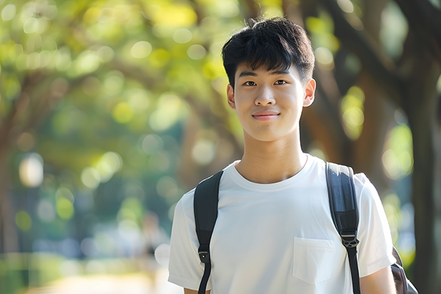 想考北京电影学院，中央戏剧学院，上海戏剧学院，如果不参加艺考，不走艺考生的形式，走大文大理可以上吗