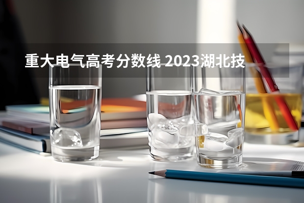 重大电气高考分数线 2023湖北技能高考分数线