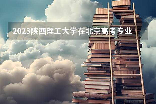 2023陕西理工大学在北京高考专业招生计划人数