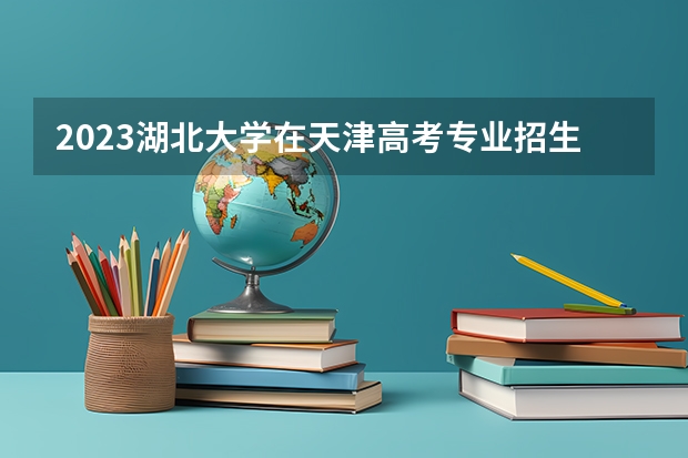 2023湖北大学在天津高考专业招生计划人数