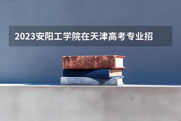 2023安阳工学院在天津高考专业招生计划人数