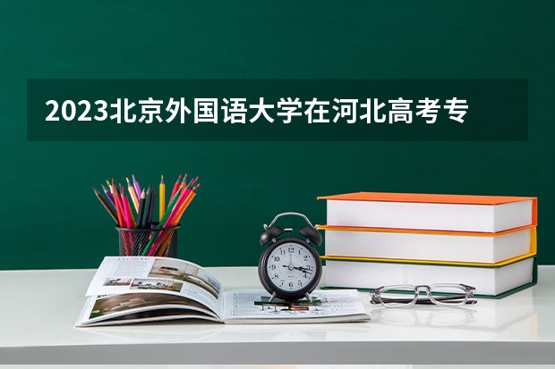 2023北京外国语大学在河北高考专业招生计划人数