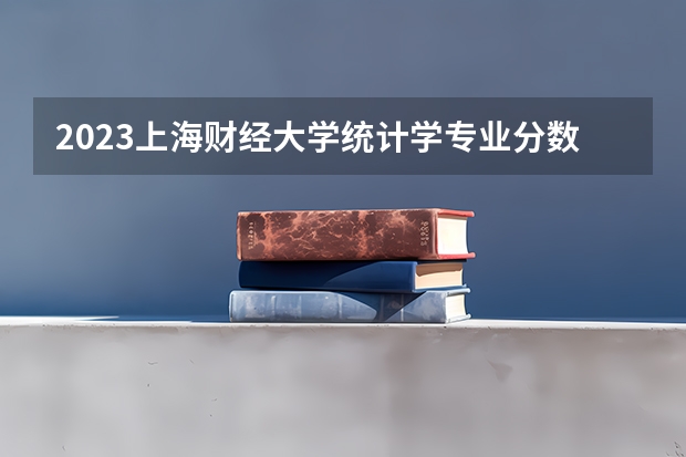 2023上海财经大学统计学专业分数线是多少(2024分数线预测)