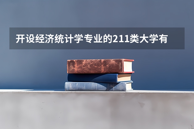 开设经济统计学专业的211类大学有哪些