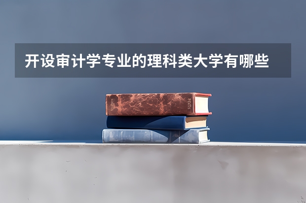 开设审计学专业的理科类大学有哪些