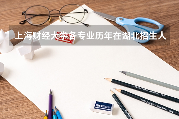 上海财经大学各专业历年在湖北招生人数一览