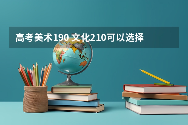 高考美术190 文化210可以选择什么学校好啊？江苏省内的