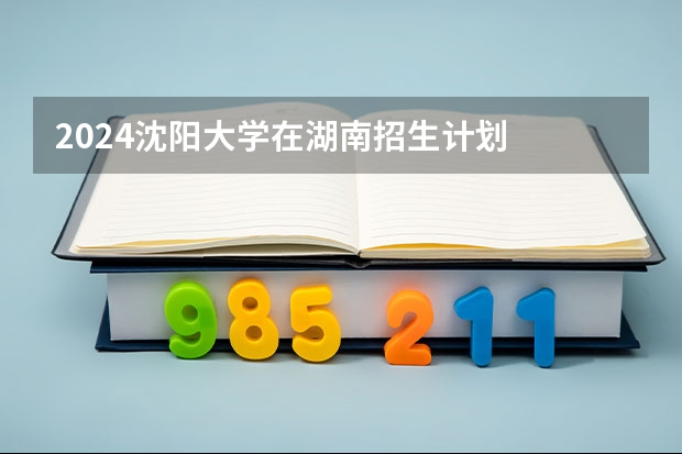 2024沈阳大学在湖南招生计划