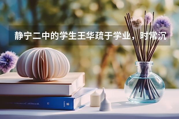 静宁二中的学生王华疏于学业，时常沉溺于电子游戏厅中，其母多次在游戏厅里找到夜不归宿的王华并劝其回家 静宁二中的校园(作文)