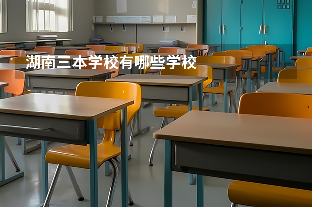 湖南三本学校有哪些学校