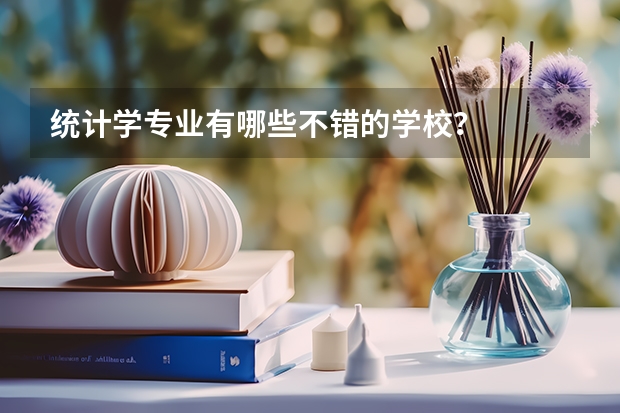 统计学专业有哪些不错的学校？