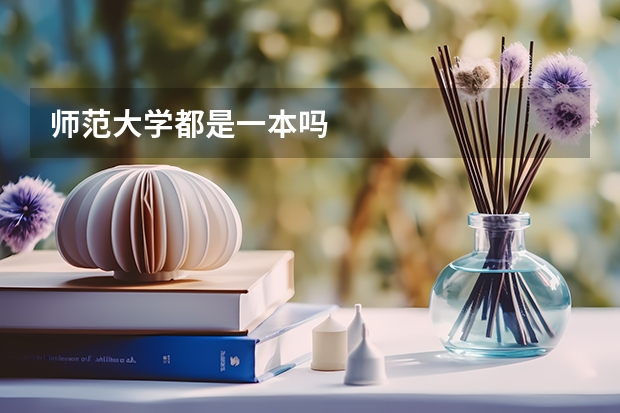 师范大学都是一本吗