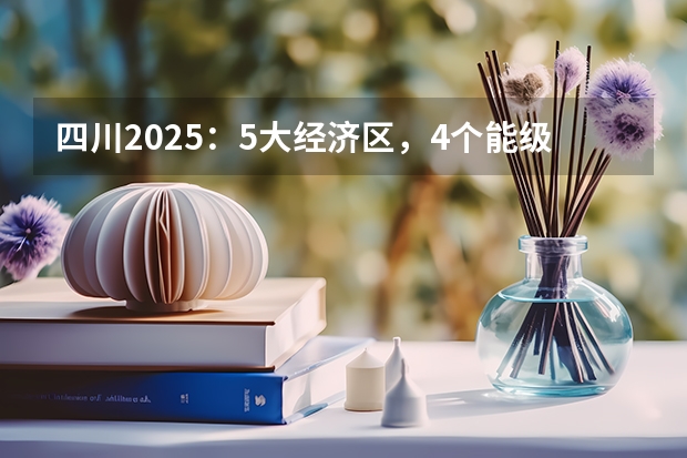 四川2025：5大经济区，4个能级梯队，新增10座机场，12城房价下跌（2025四川高考难么）