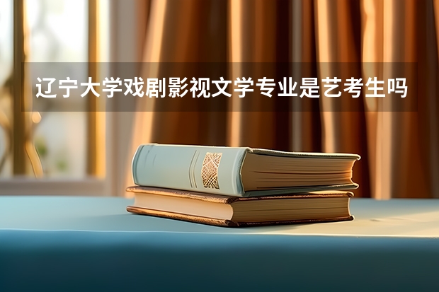 辽宁大学戏剧影视文学专业是艺考生吗 不是，戏文、广编在普通批次录取？